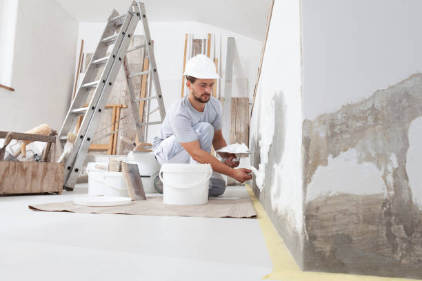 Taylor, MI Mold Removal Company