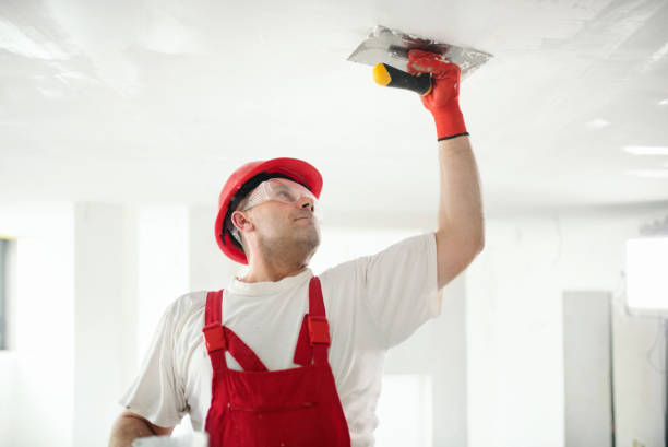Forensic Mold Investigation in Taylor, MI