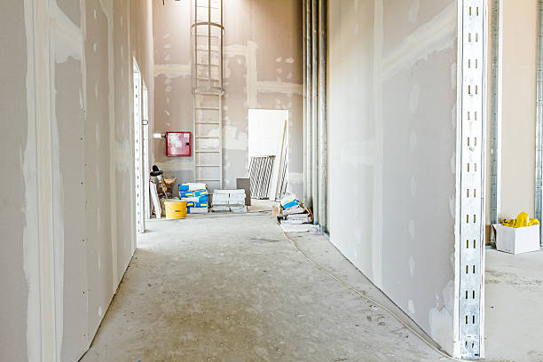 Best Mold Prevention Services  in Taylor, MI